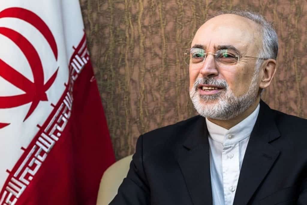  Iran begins work on new nuclear plant: IAEA