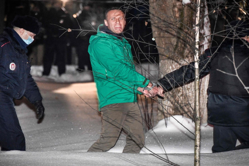 jailed Navalny to Putin