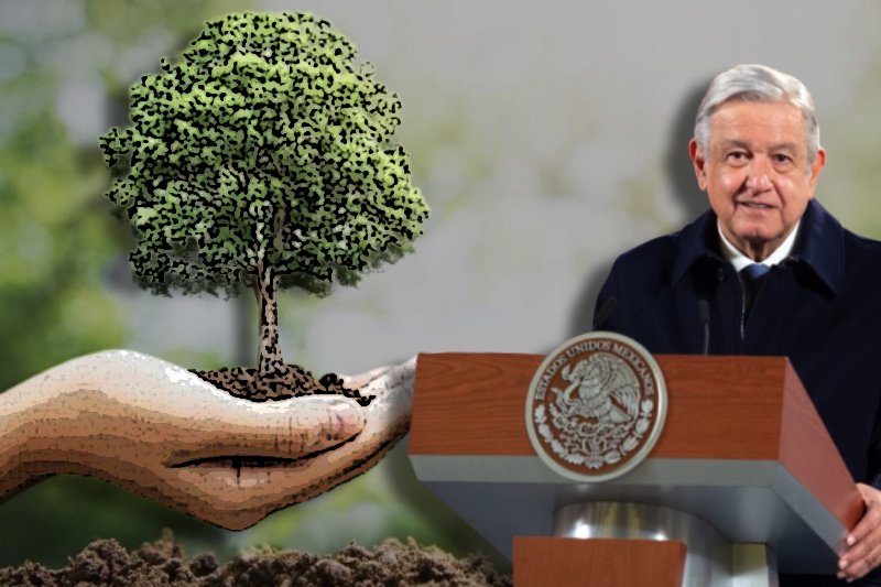 Mexican President Andrés Obrador propels the controversial reforestation program