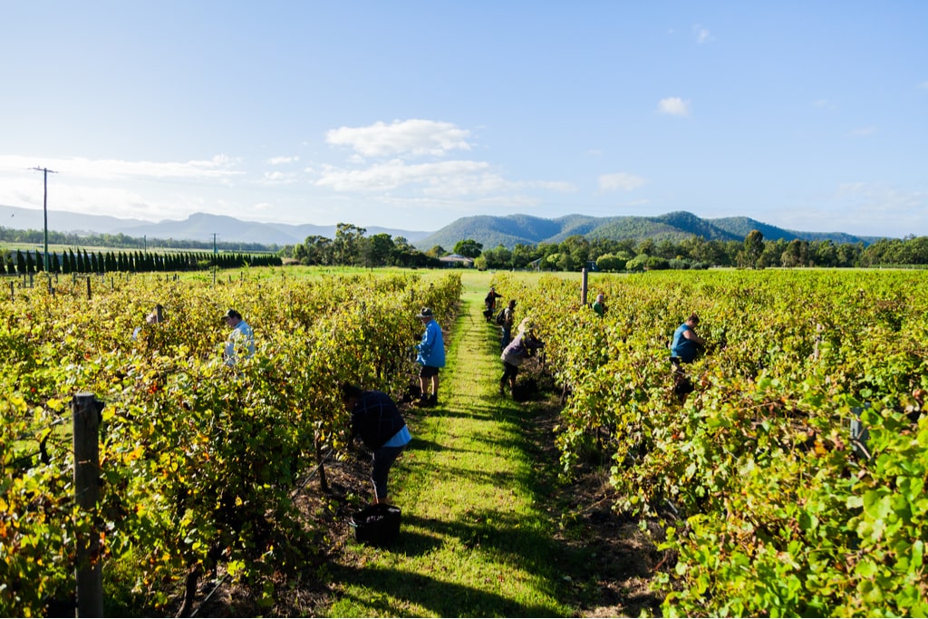 Will UK Business With Australia Hurts British Farmers?