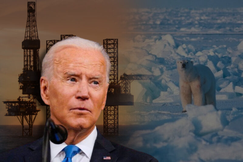  Climate & Wildlife Preservation: Biden suspends Trump approved Arctic oil drilling leases