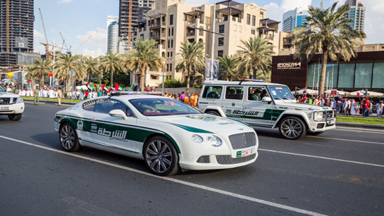 uae police 1