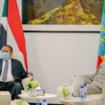 ethiopian government looking to take sudan egypt in confidence over gerd