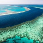 great barrier reef in crisis unesco to visit site amid rising bleaching risk