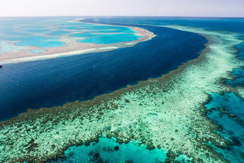  Great Barrier Reef in crisis: UNESCO to visit site amid rising bleaching risk