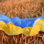 ukraine war has amplified already catastrophic global food insecurity