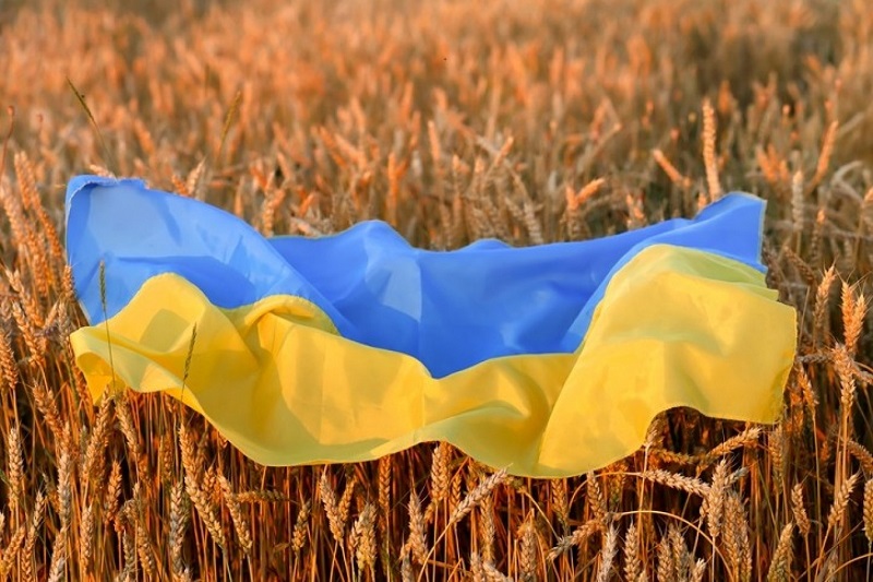  Ukraine war has amplified already catastrophic global food insecurity