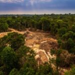 illegal mining causes deforestation and river pollution in the amazon rainforest near menkragnoti indigenous land. pará, brazil