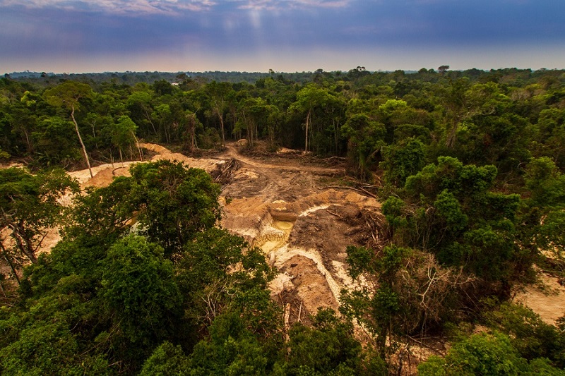 illegal mining causes deforestation and river pollution in the amazon rainforest near menkragnoti indigenous land. pará, brazil