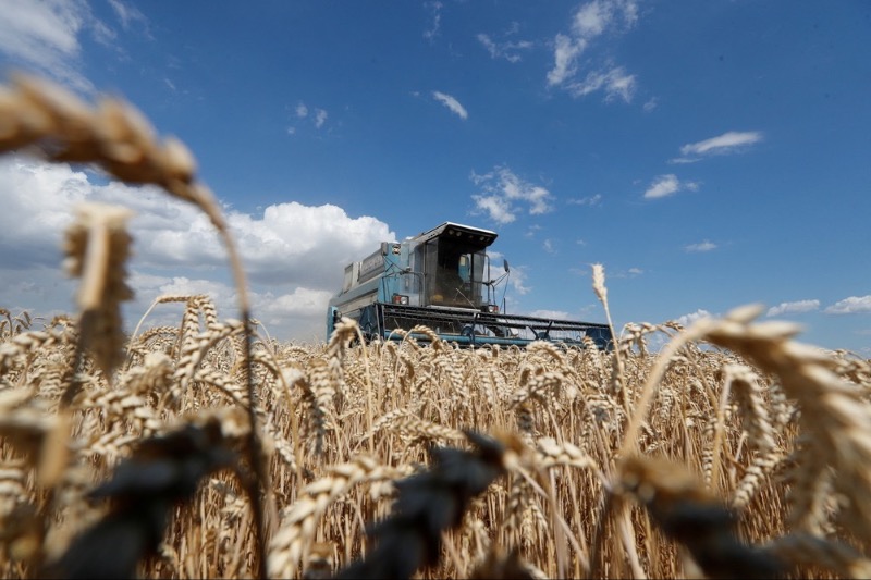 Grain imports from Ukraine are putting strain on Romanian ports