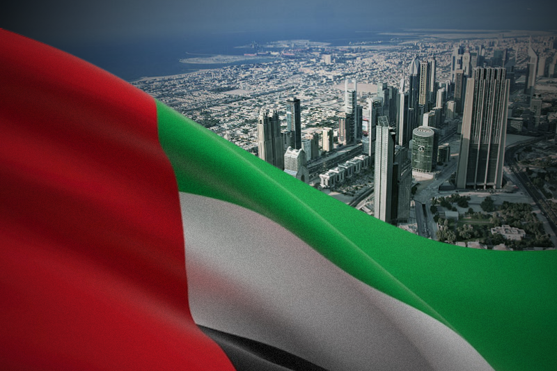 uae is prepared for any future challenges and crises