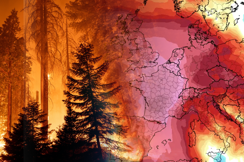  Heatwave in Europe forces thousands to flee wildfires across France and other countries