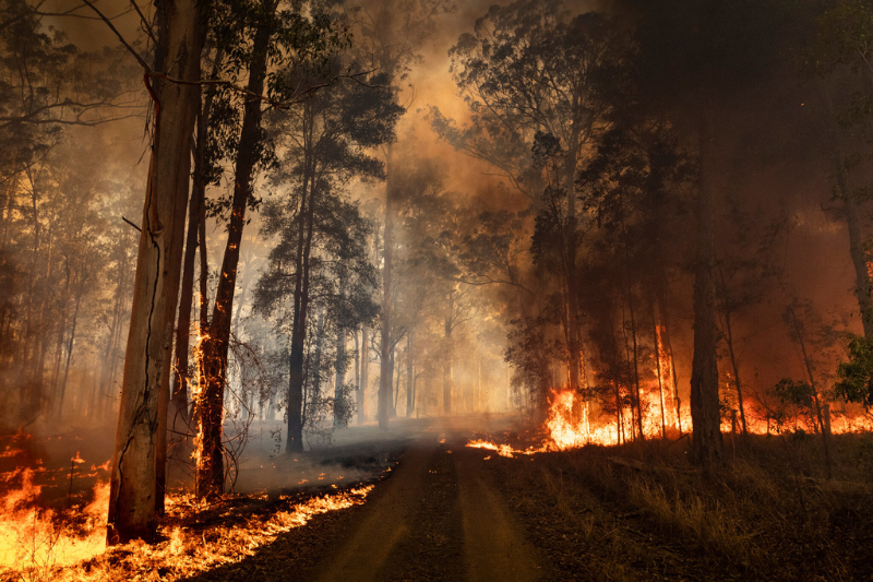 Portugal fights wildfires amid heat and drought; 29 wounded