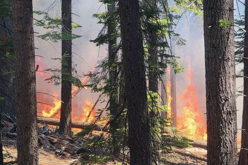  Wildfire threatens Yosemite’s enormous sequoias
