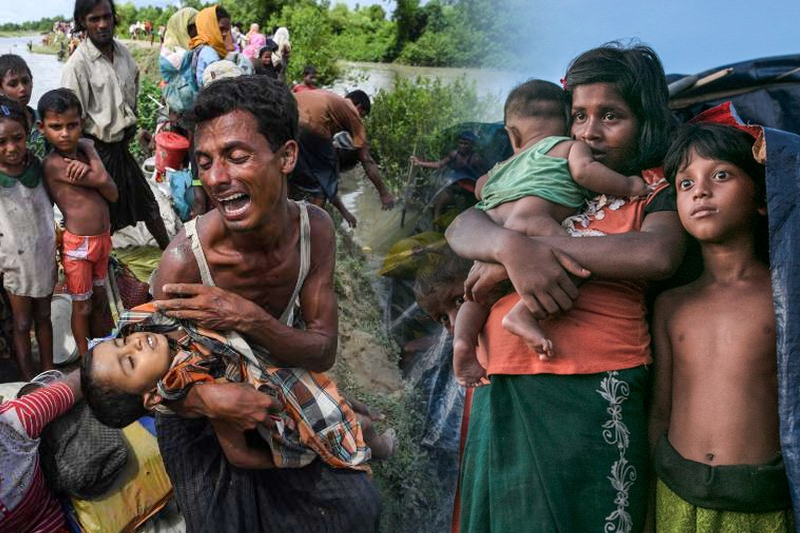  UN calls for solution as Rohingya’s plight continues 5 years post crackdown