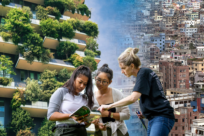 urban greening initiatives can reduce global warming impact study finds