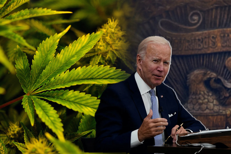 biden changes the way the us treats marijuana and forgives past federal crimes
