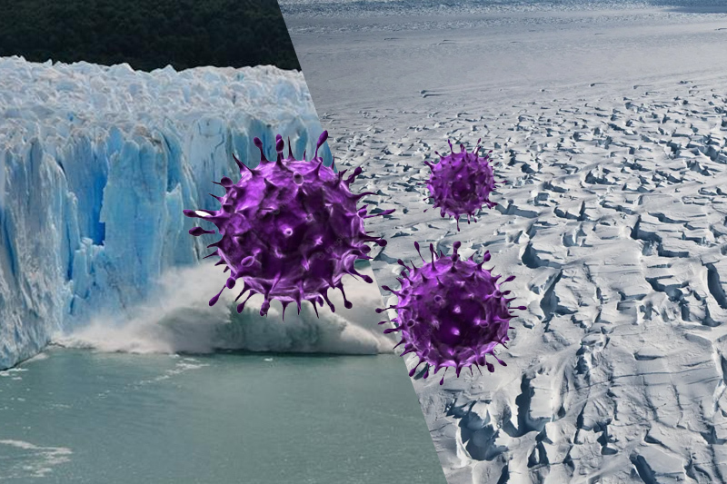  Study finds next probable pandemic might be sourced from melting glaciers