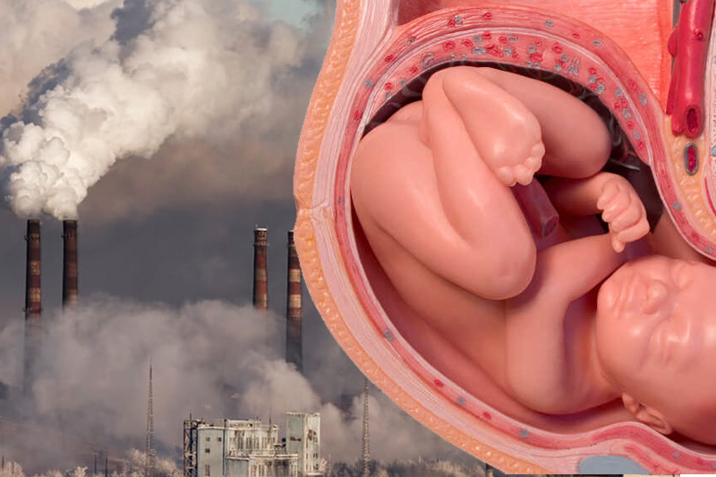 toxic air pollutant particles found in brain lungs of unborn babies study finds