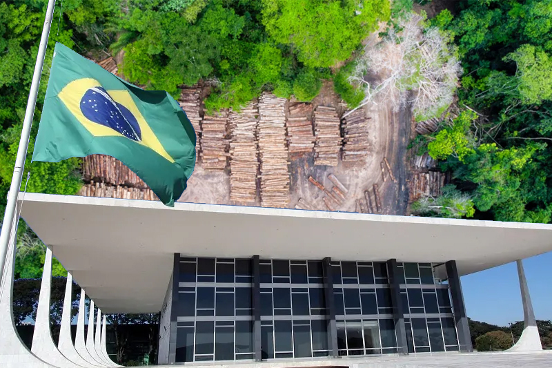 amazon fund reactivated by brazil supreme court new hope to save the rainforest