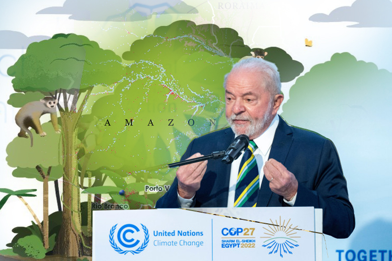  Cop27: Lula pledges to halt Amazon deforestation