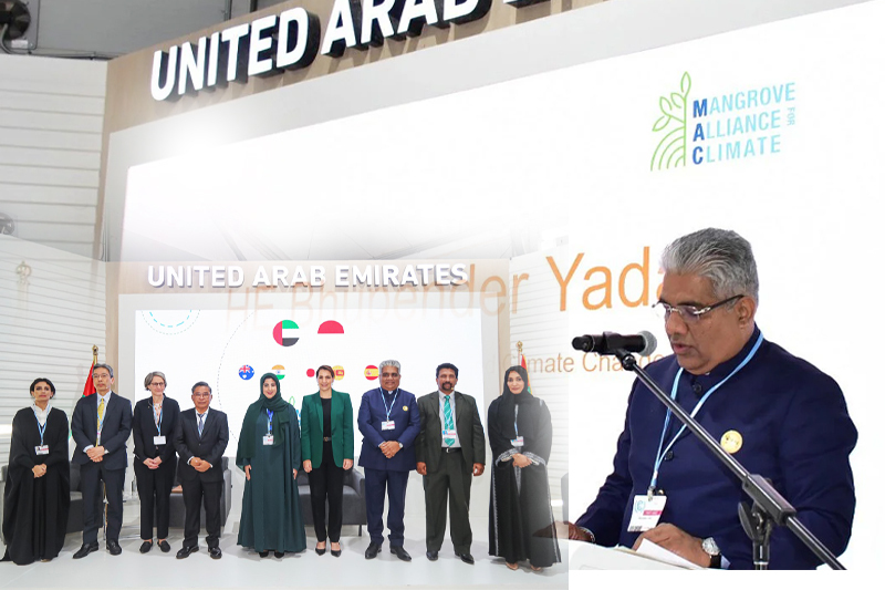 cop27 what is the uae led mangrove alliance for climate with india as latest addition