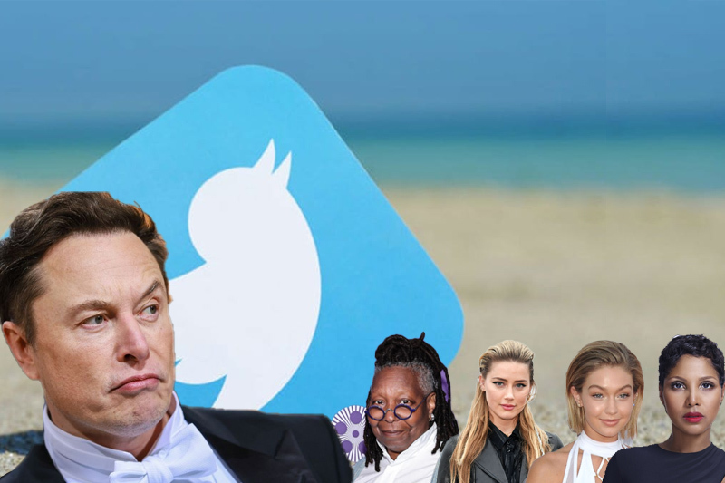  Elon Musk Effect: Five Celebrities Who Have Quit Musk’s Twitter