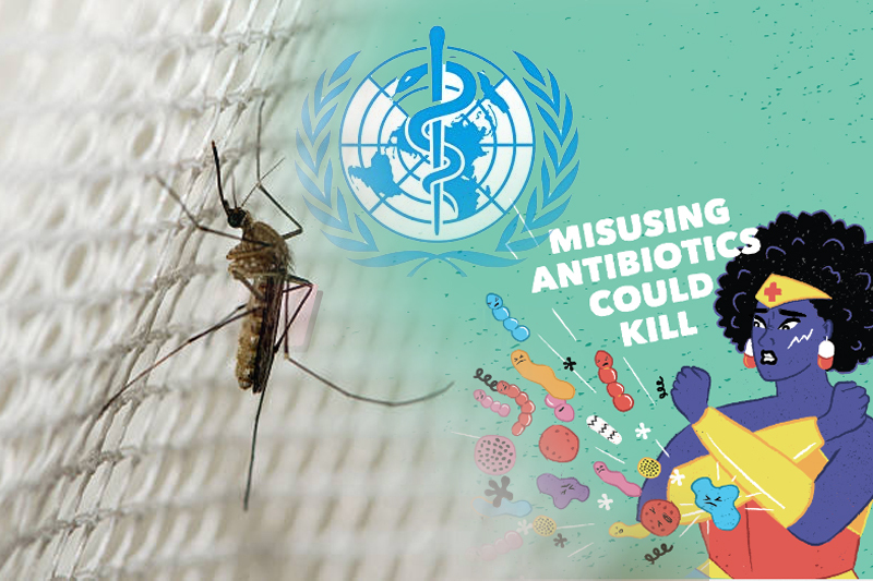 new strategy unveiled by who for malaria in africa aimed to tackle drug resistance