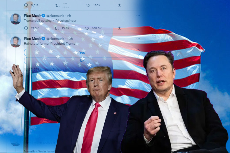 should trump be brought back on twitter musk takes a poll on the quintessential question