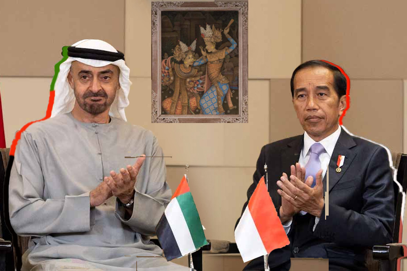  UAE and Indonesia Presidents witness signing of MoUs in climate action cooperation and preparation of Cop28
