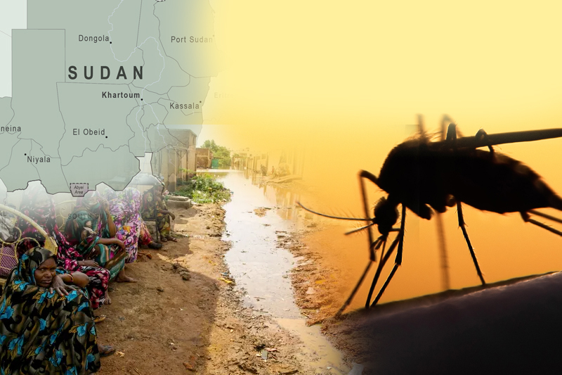 worst dengue outbreak in sudan in over a decade