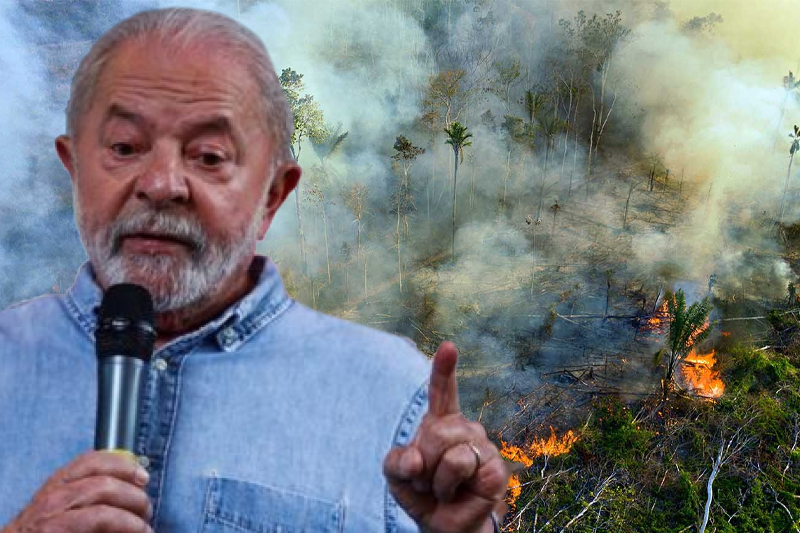 brazil lula set to face hurdles over his pledge to reverse amazon deforestation