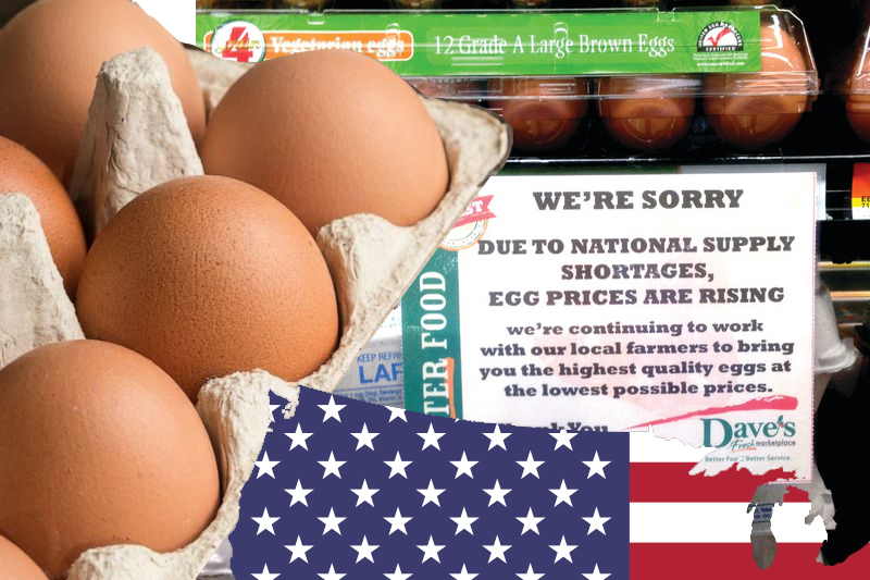 $18 a dozen: What is going on with egg prices in America?