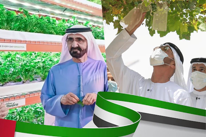 Has UAE always been an early adopter of sustainable practices?