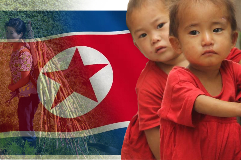  North Korean food shortage is worsening, says South Korea