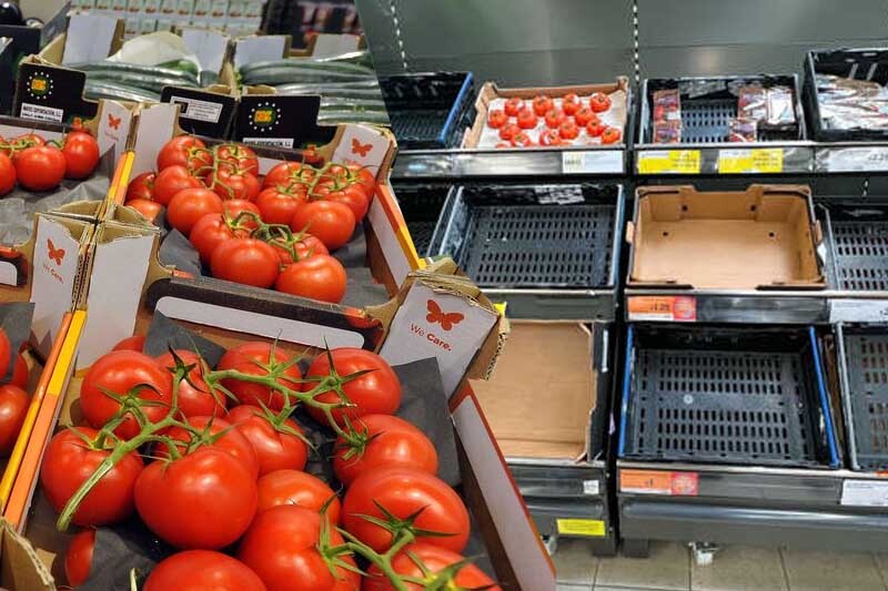  Poor weather damages crops in Europe and Africa, UK faces tomato shortage