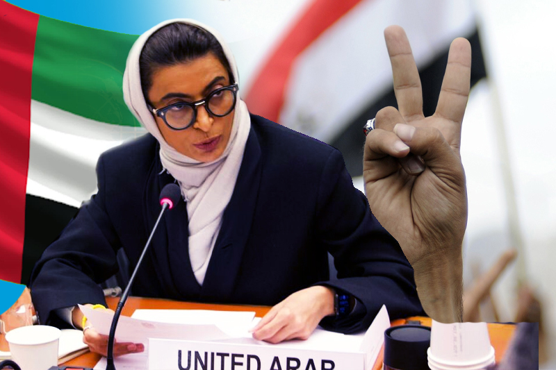 UAE calls 2023 the year of peace in Yemen