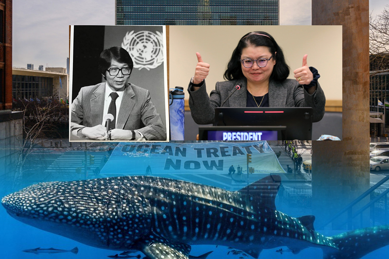 At last! Landmark ocean treaty reached after decade of negotiations