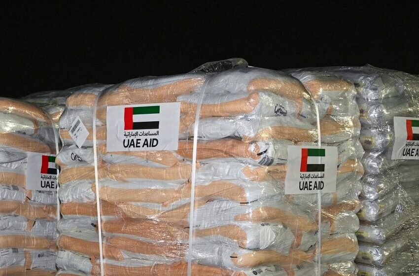  UAE sends aid to Sudan and refugees on Chad border