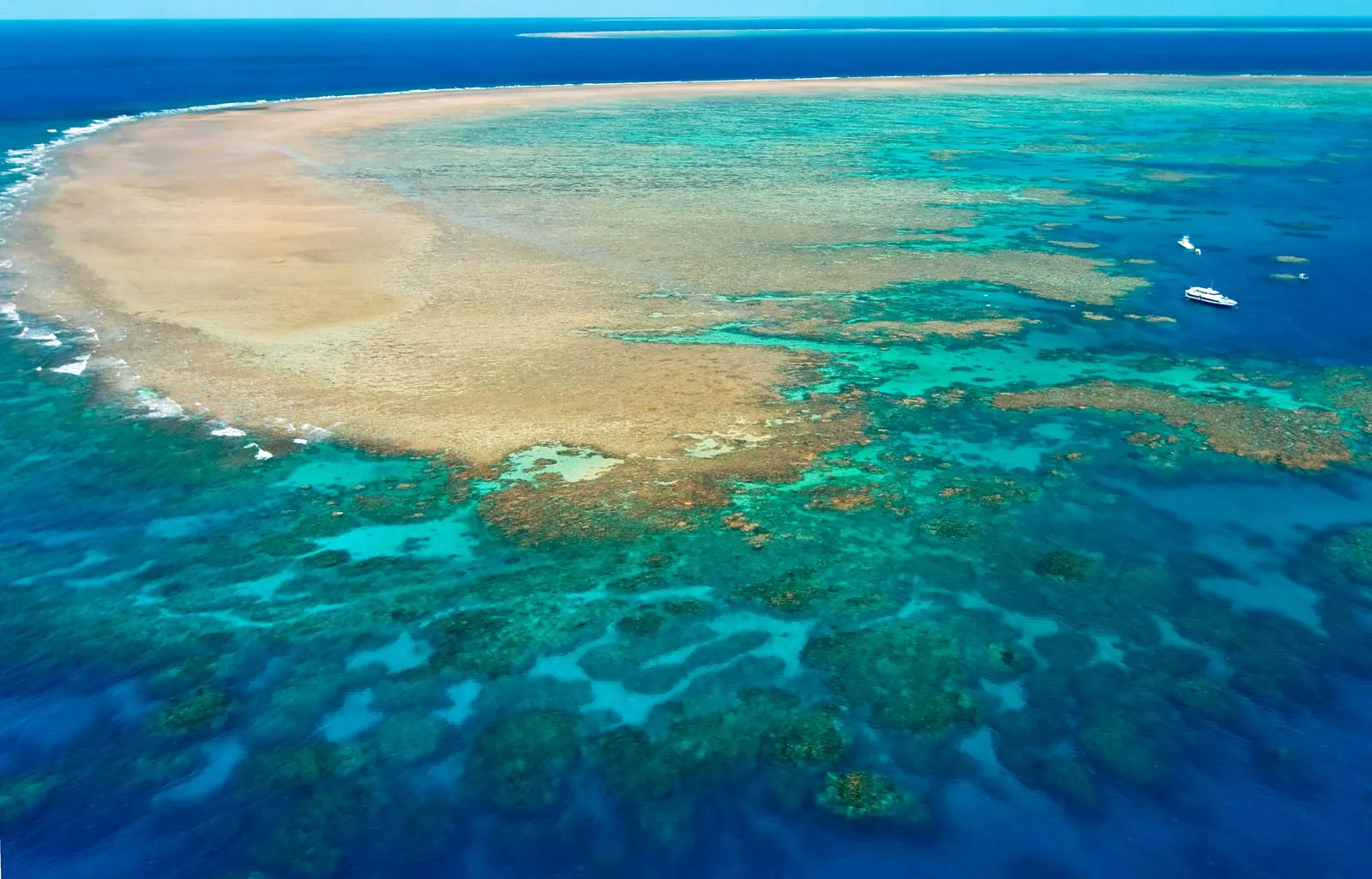 the great barrier reef australia