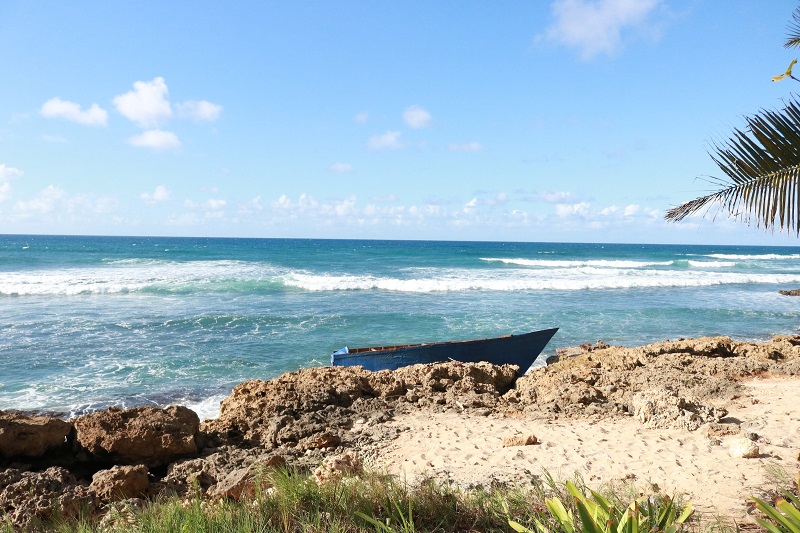 Shipwrecks just keep happening! Is EU not doing enough?