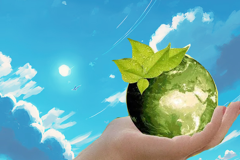 This World Environment Day, learn 5 simple things to fight climate emergency