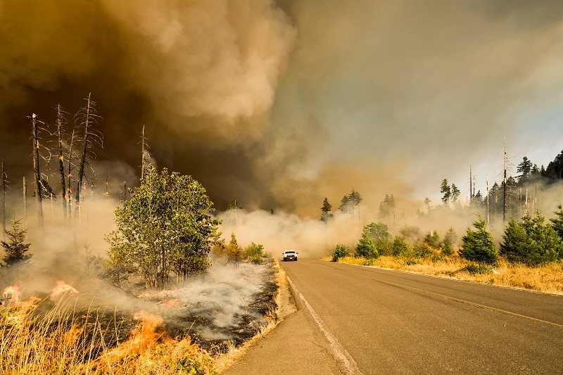  Wildfires are here and Europe must stop focusing too much on suppressing them. Sounds weird?