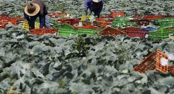 Locals Coping With Stress As War Triggers An Exodus Of Foreign Labourers From Israel