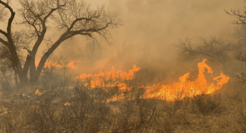 A State in Flames: Texas’ Struggle with the Massive Smokehouse Creek Wildfire