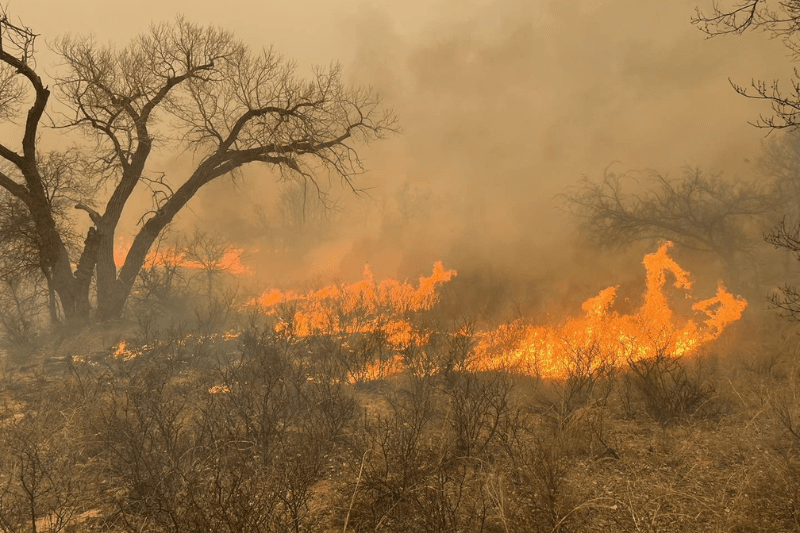 a state in flames texas' struggle with the massive smokehouse creek wildfire (1)