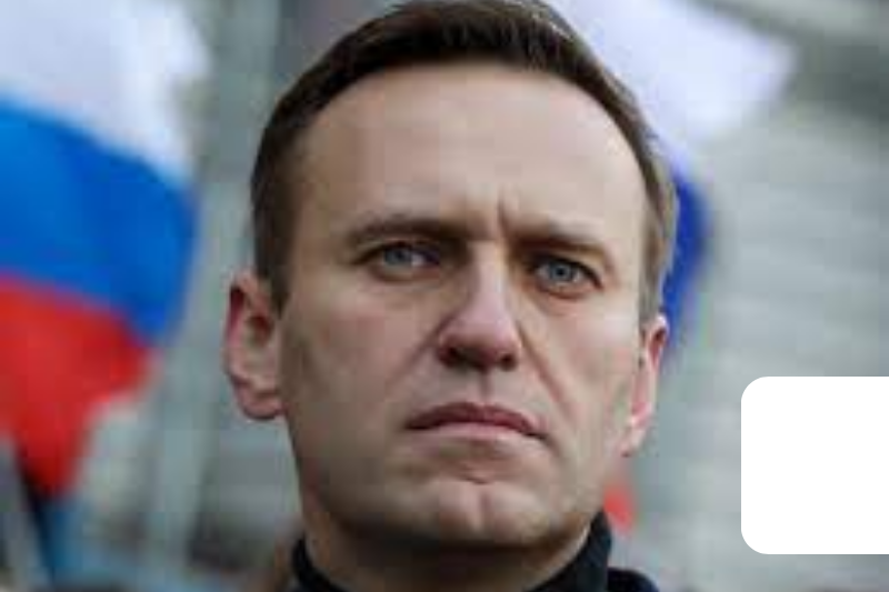the tragic demise of alexei navalny unraveling a political assassination