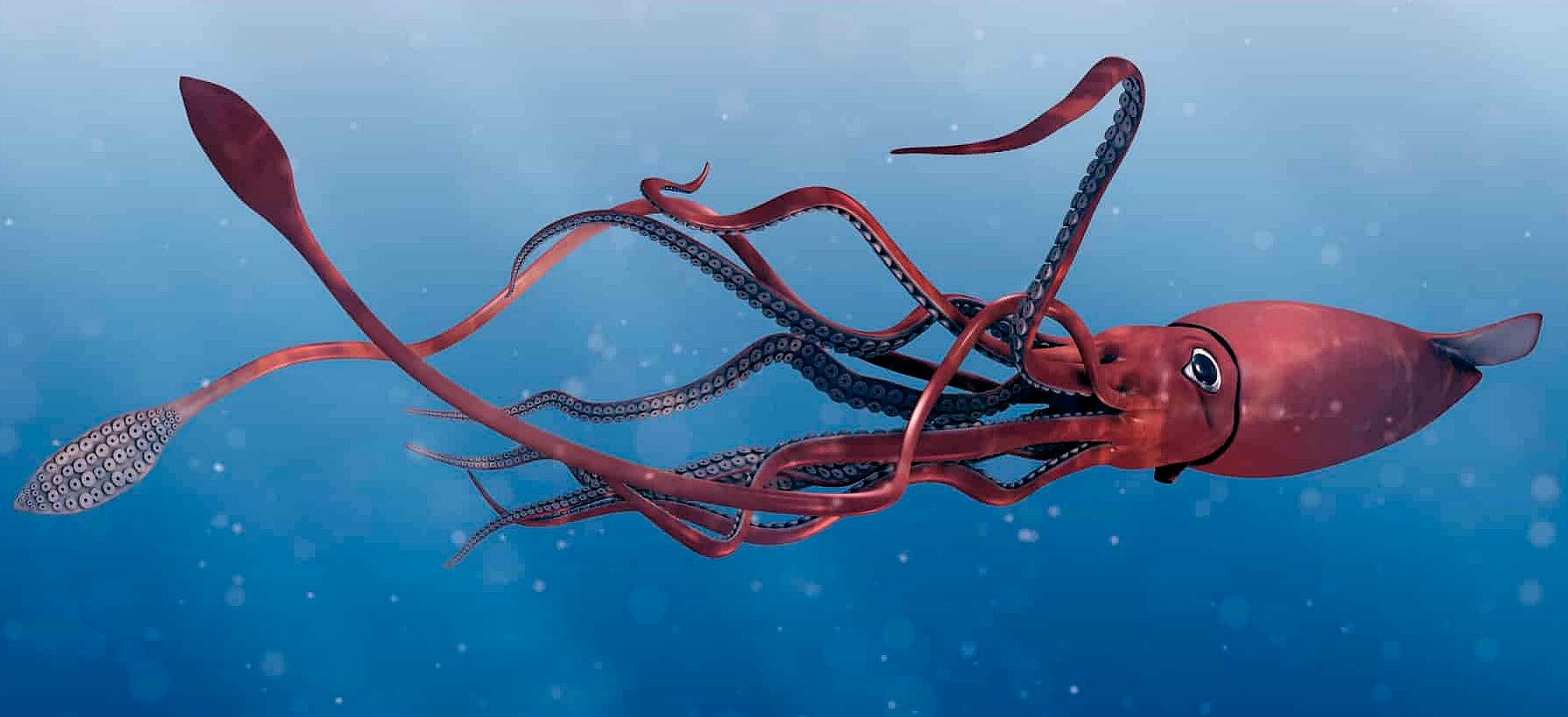 Top 10 Largest Living Creatures in The Sea