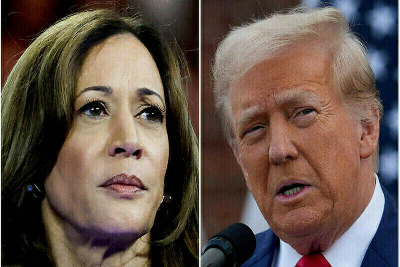  2024 Presidential Election Polls: Harris vs. Trump Neck and Neck with 11 Days Left