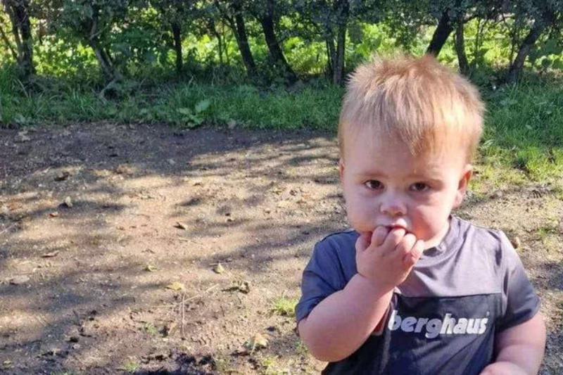 a toddler's dance turns to tragedy! the moment a tv and fireplace wigan home